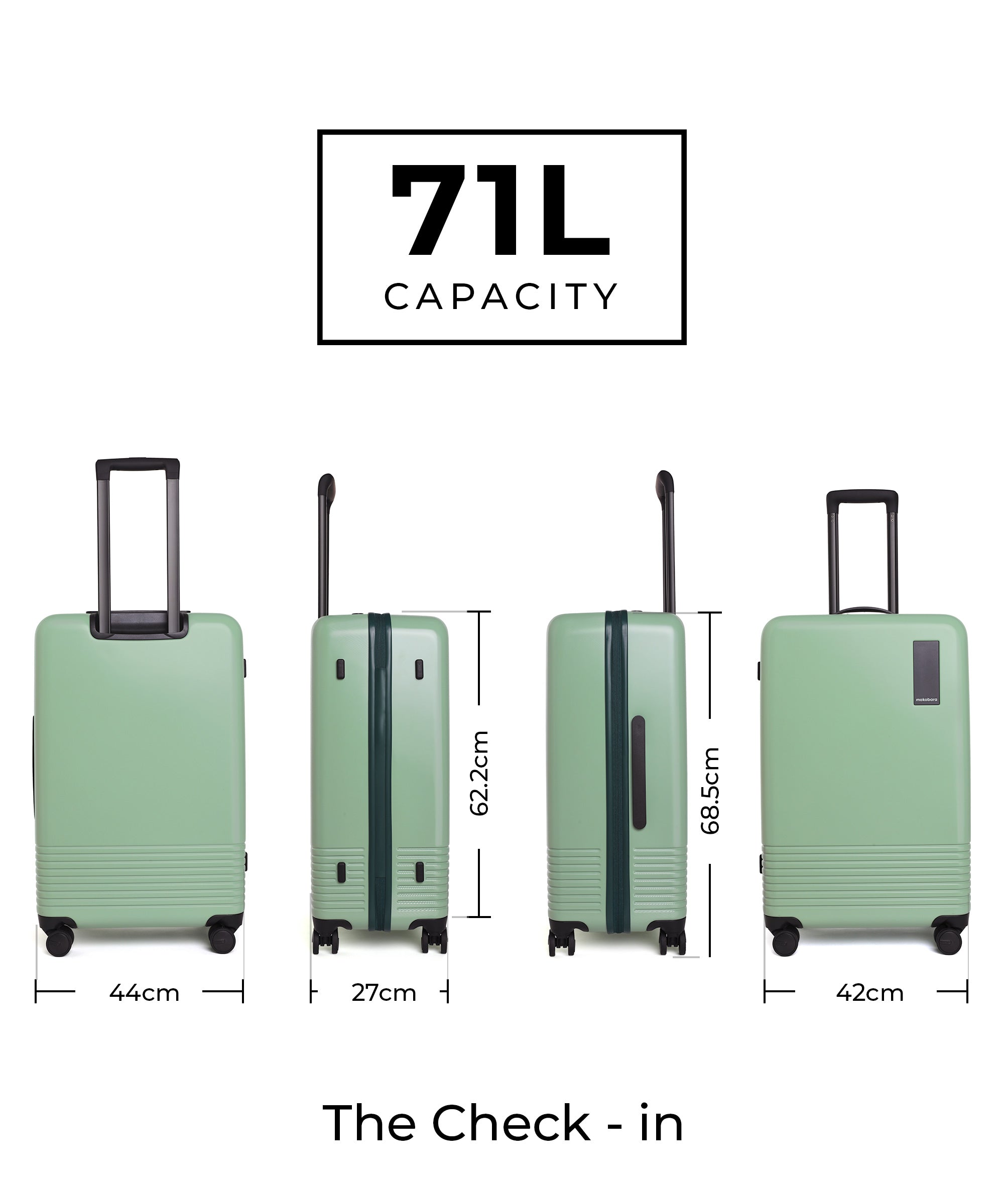 Color_Timeless Greenray (Limited Edition) | Set of Two Luggage