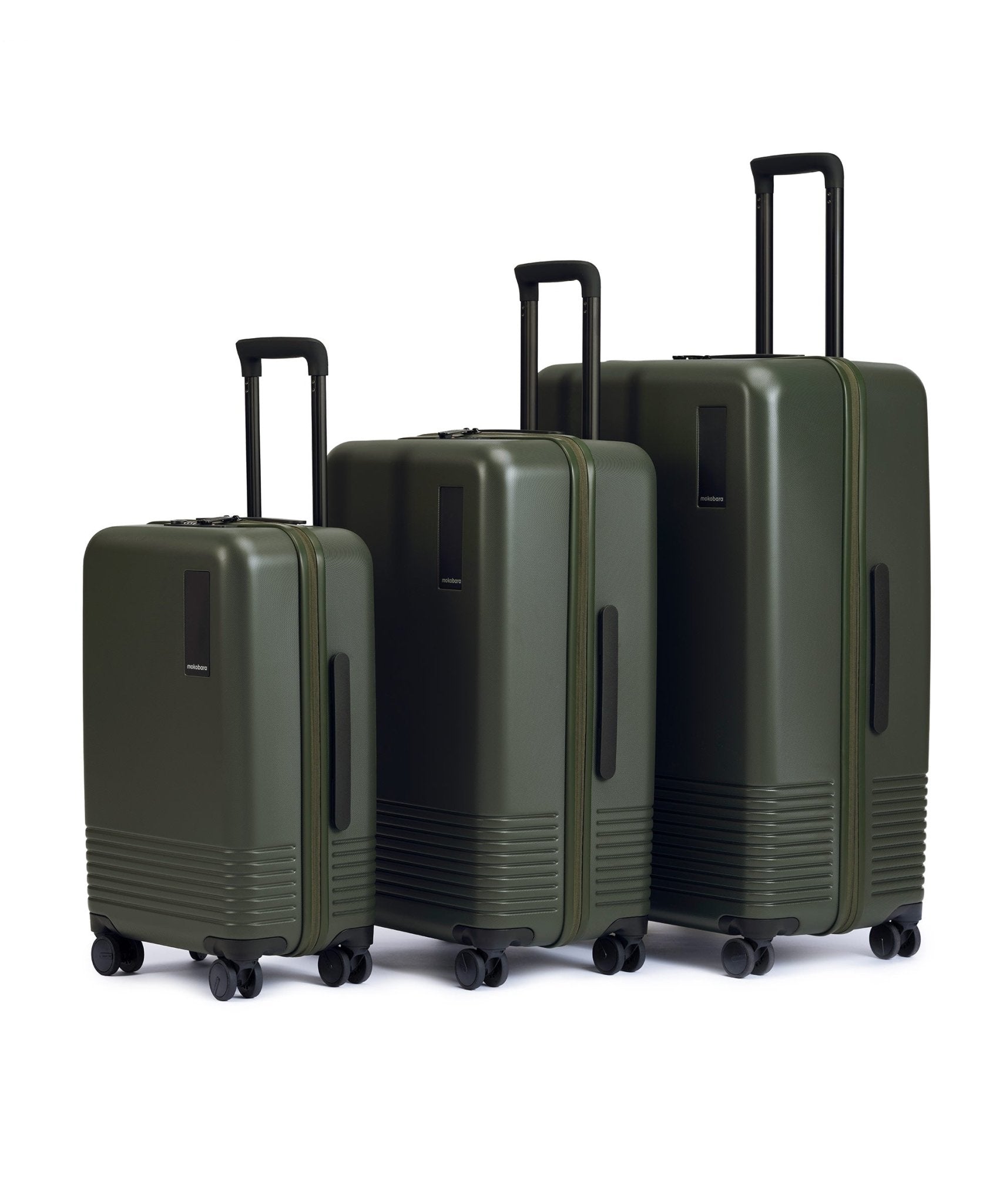 Color_Seaweed Green | Set of 3 Luggage