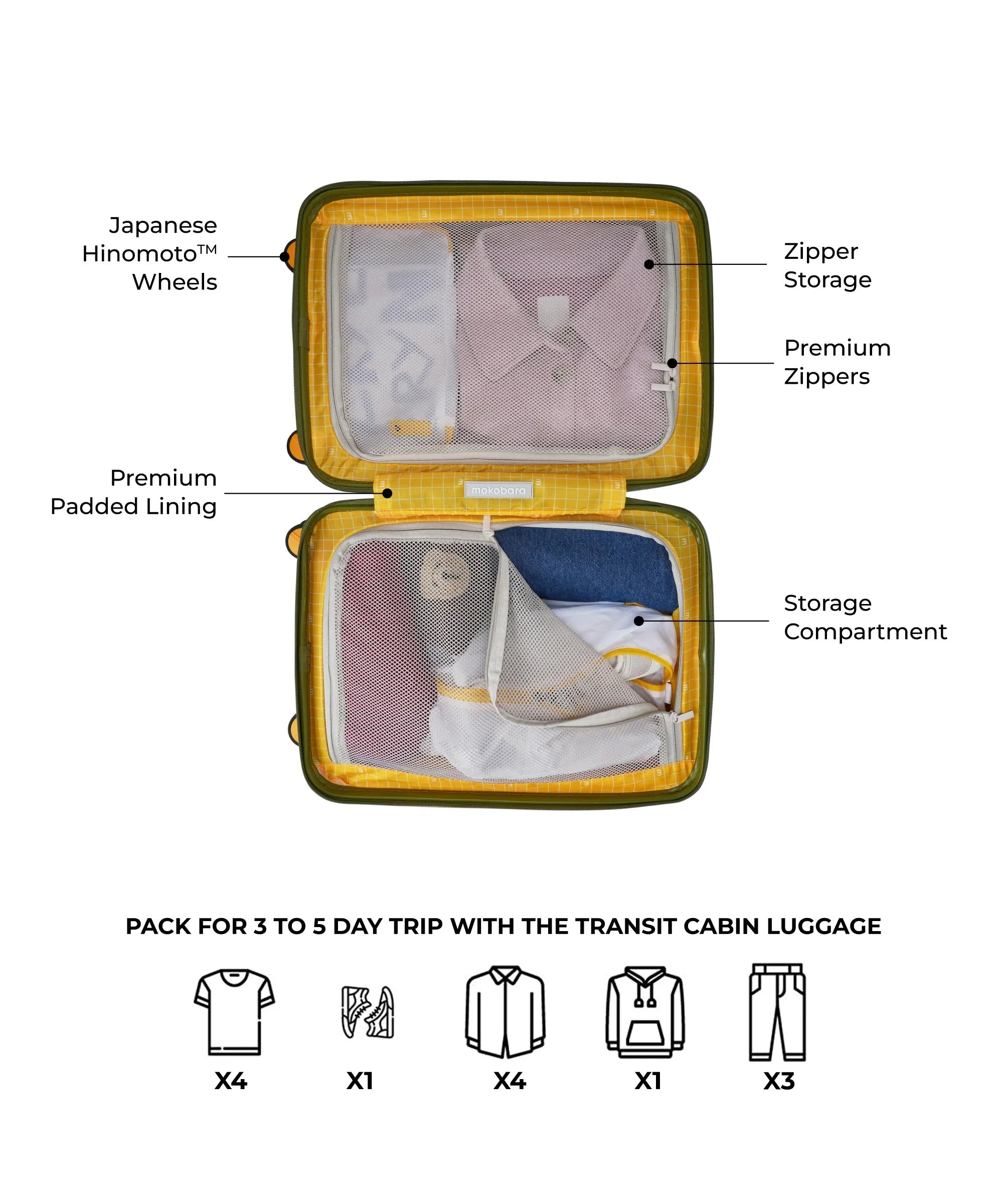 Color_ We meet Again Sunray (Limited Edition) | The Transit Luggage - Cabin